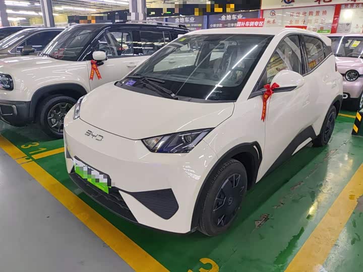 Фото 2 - BYD Seagull