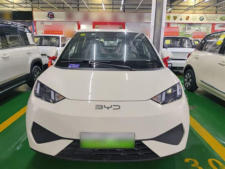 Фото 3 - BYD Seagull