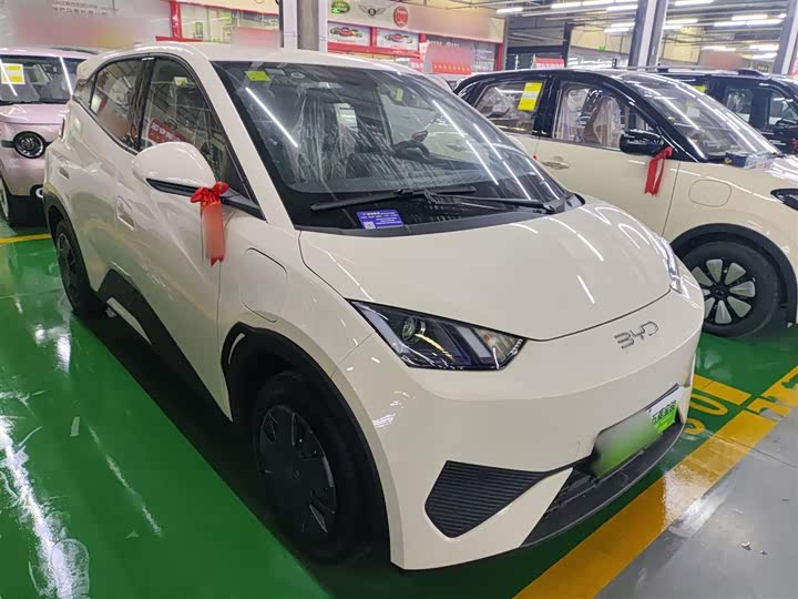 Фото 4 - BYD Seagull