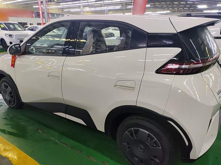 Фото 5 - BYD Seagull