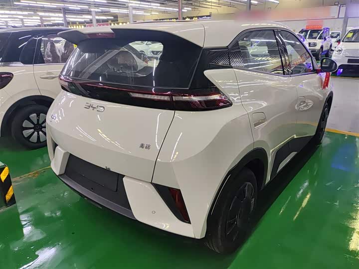 Фото 7 - BYD Seagull