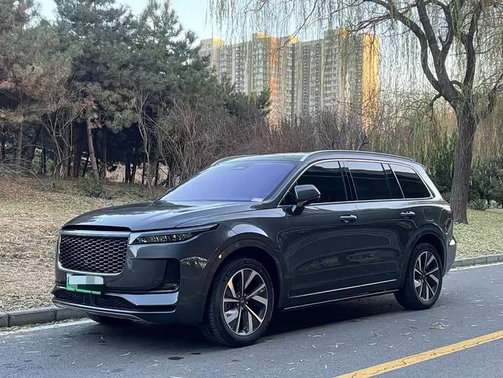 Фото 1 - LiXiang One