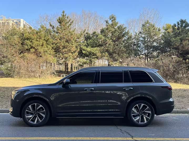 Фото 3 - LiXiang One