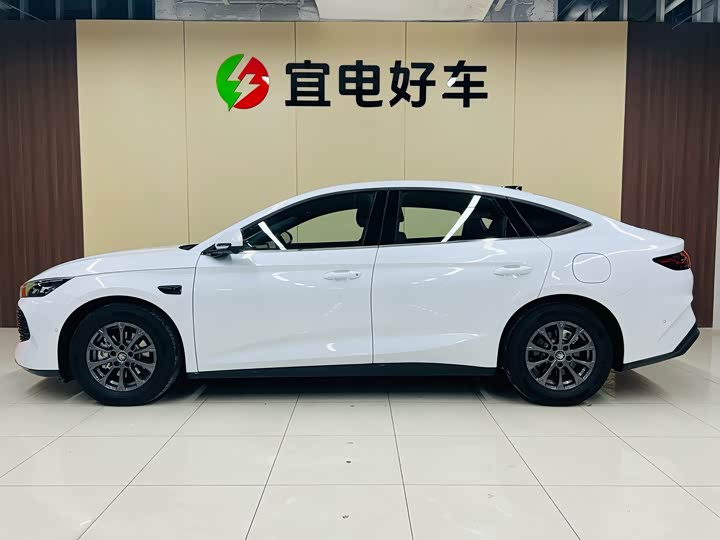 Фото 5 - BYD Qin L
