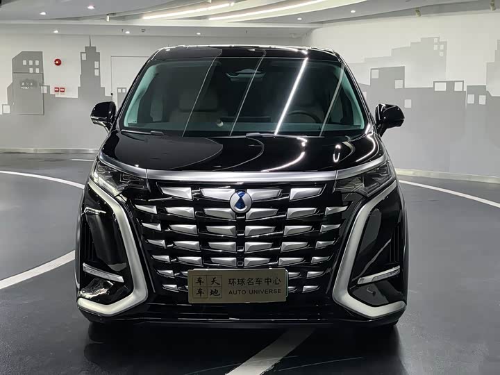 Фото 2 - Denza D9