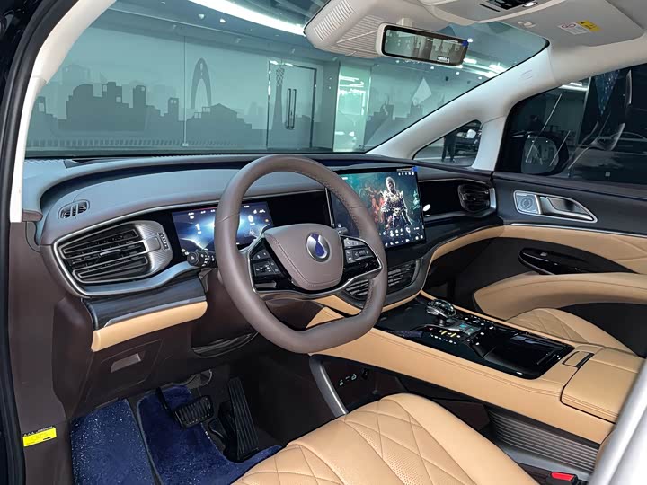 Фото 6 - Denza D9