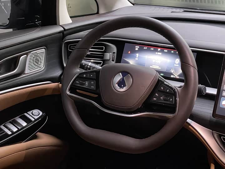 Фото 7 - Denza D9