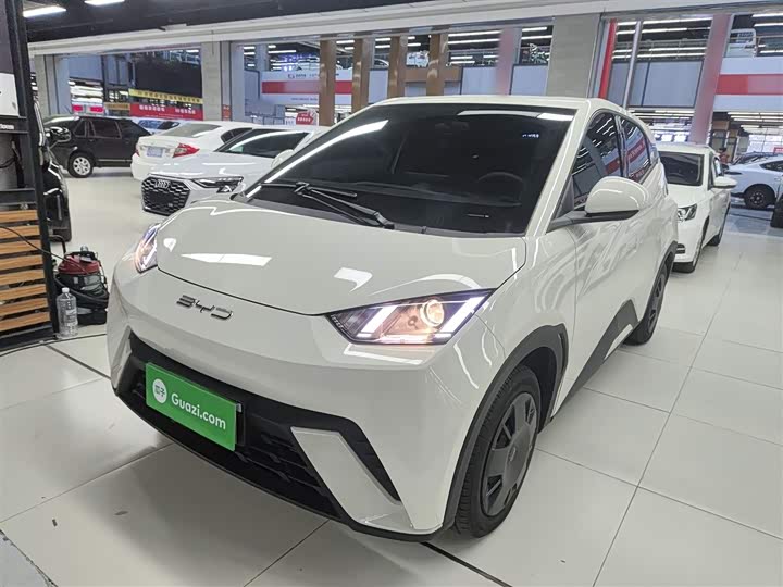 Фото 1 - BYD Seagull