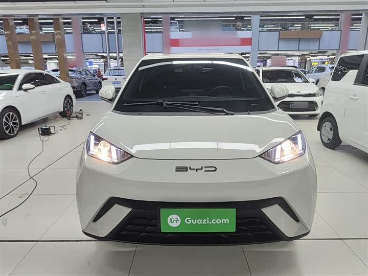 Фото 3 - BYD Seagull