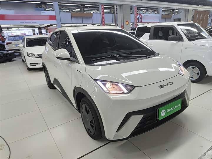 Фото 4 - BYD Seagull