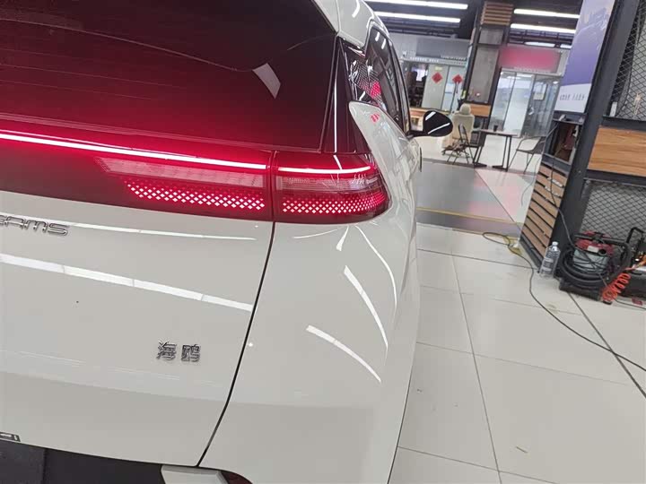 Фото 8 - BYD Seagull