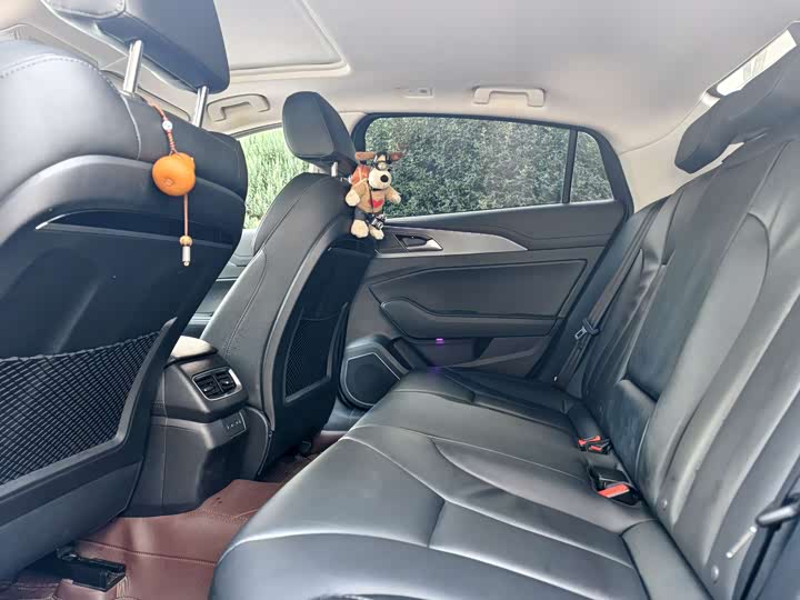 Фото 5 - Hongqi H5