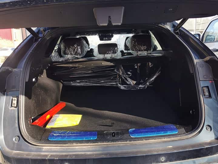 Фото 4 - Wey Mocca Hybrid