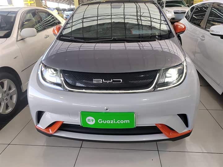 Фото 3 - BYD Dolphin