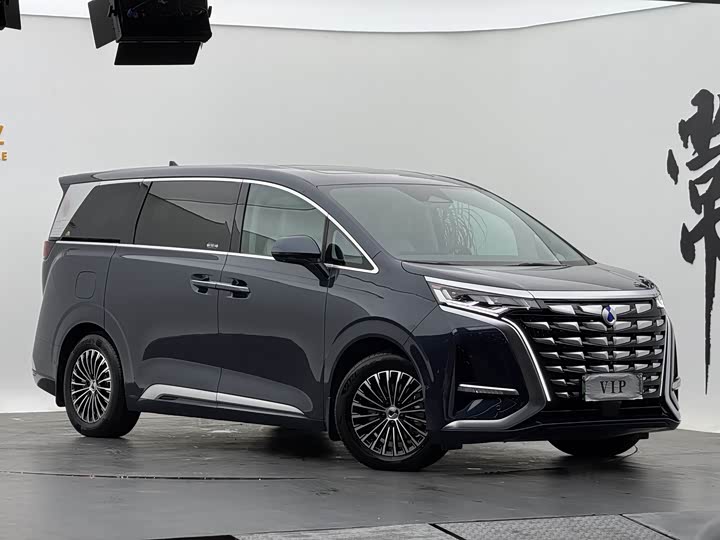 Фото 2 - Denza D9