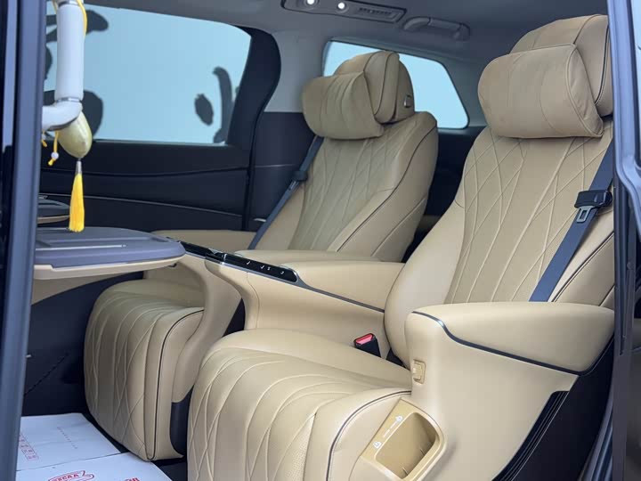 Фото 3 - Denza D9