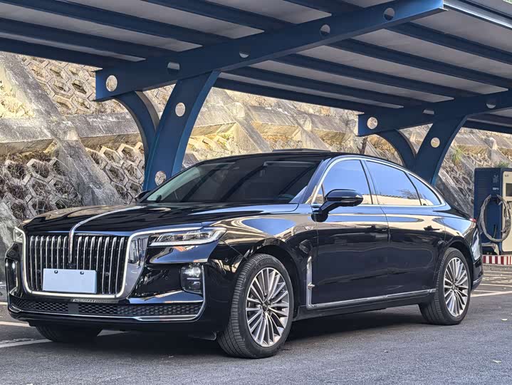 Фото 1 - Hongqi H9