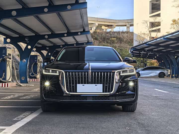Фото 3 - Hongqi H9
