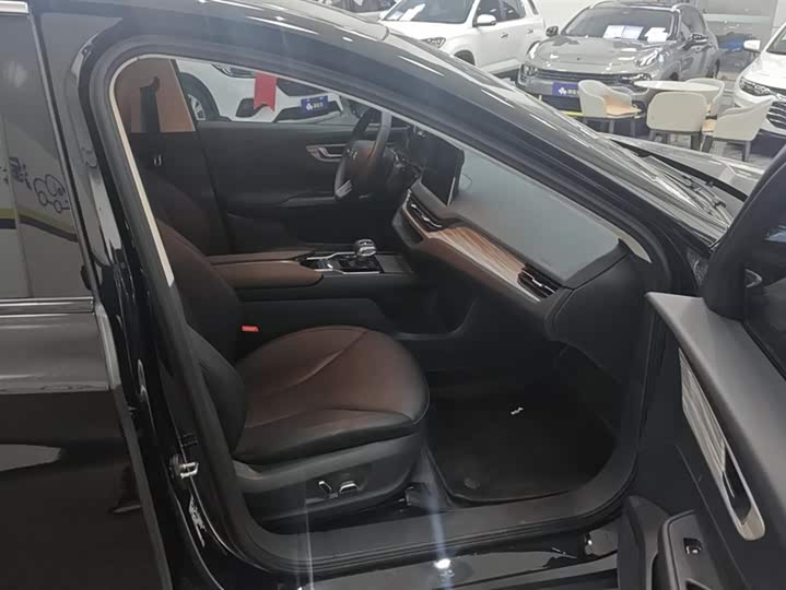 Фото 8 - Hongqi E-QM5