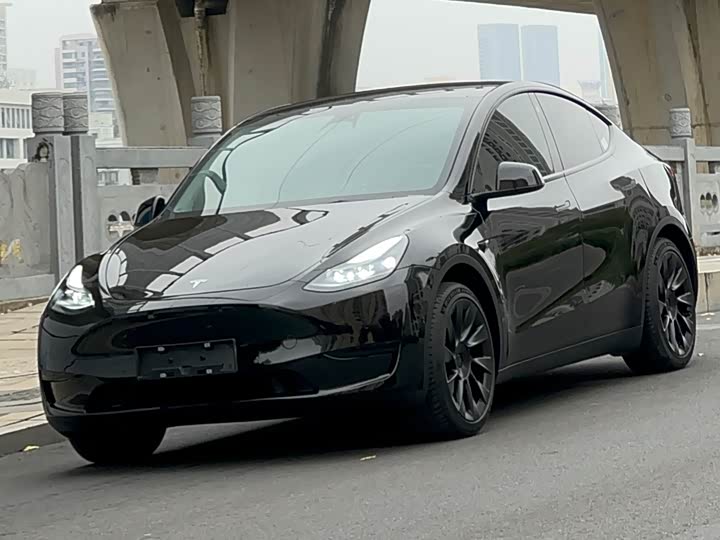 Фото 1 - Tesla Model Y