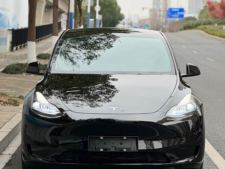 Фото 2 - Tesla Model Y