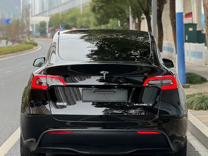 Фото 3 - Tesla Model Y