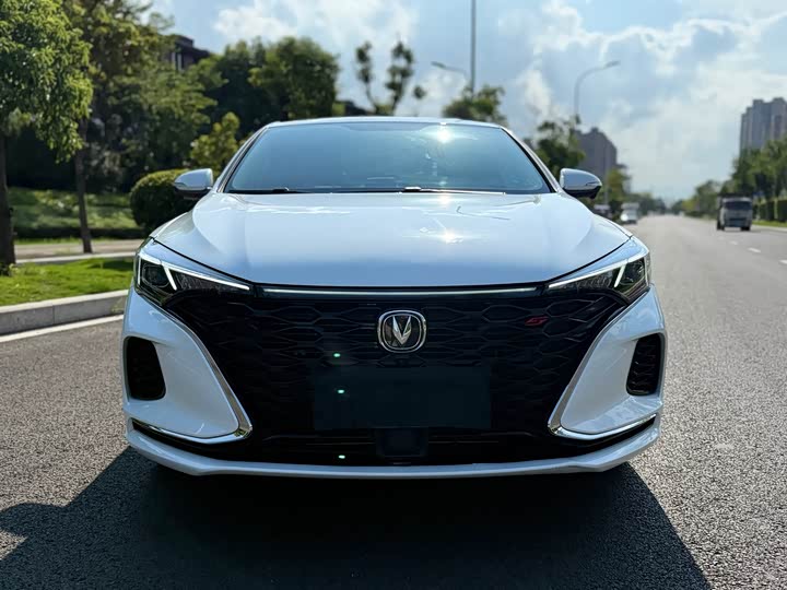 Фото 2 - Changan Eado Plus