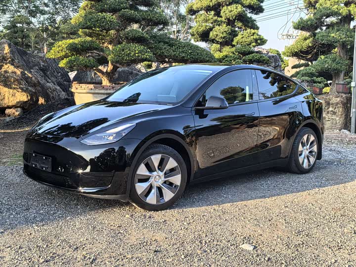 Фото 1 - Tesla Model Y