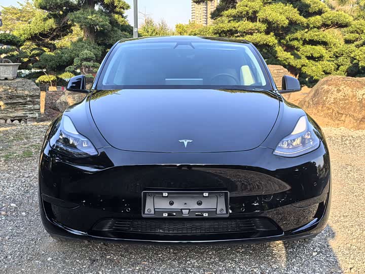 Фото 2 - Tesla Model Y