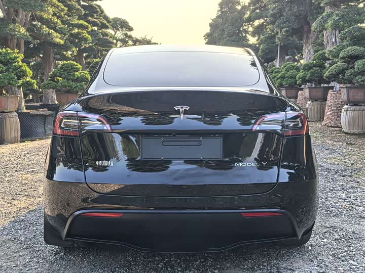 Фото 5 - Tesla Model Y