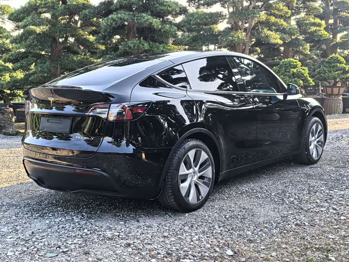 Фото 6 - Tesla Model Y