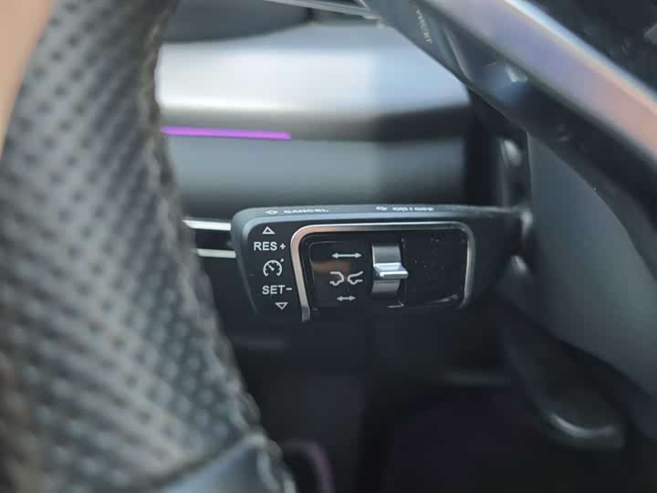 Фото 5 - Hongqi HS7 Hybrid