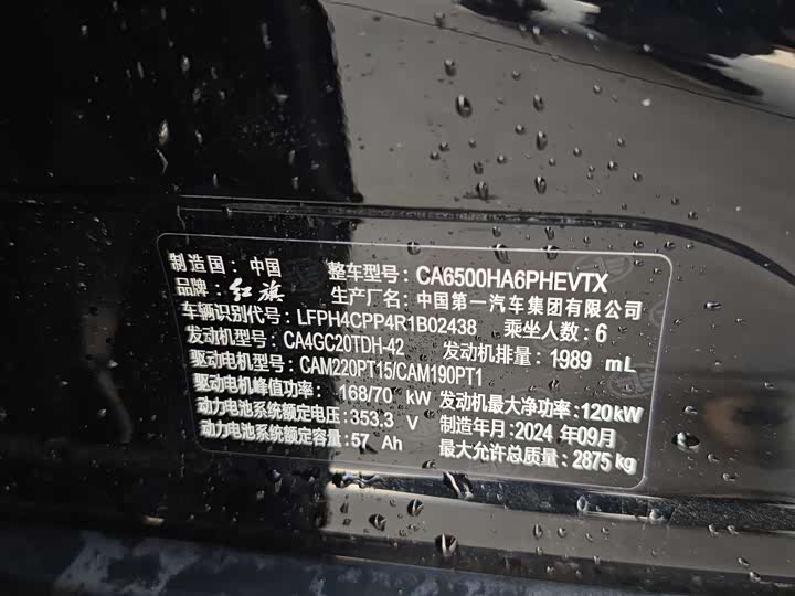 Фото 9 - Hongqi HS7 Hybrid