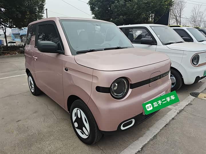 Фото 4 - Geely Galaxy Panda Mini