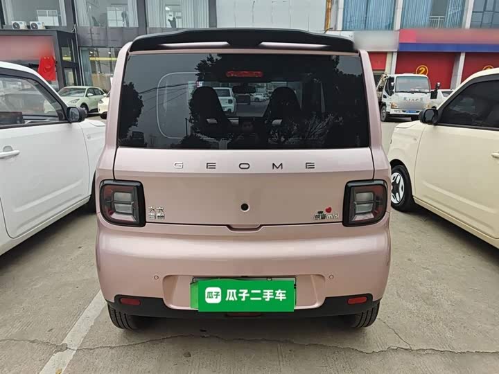 Фото 6 - Geely Galaxy Panda Mini