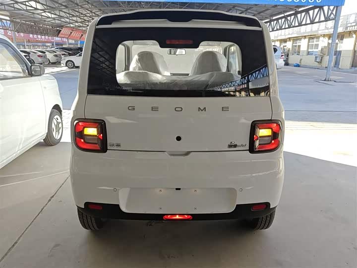 Фото 6 - Geely Galaxy Panda Mini