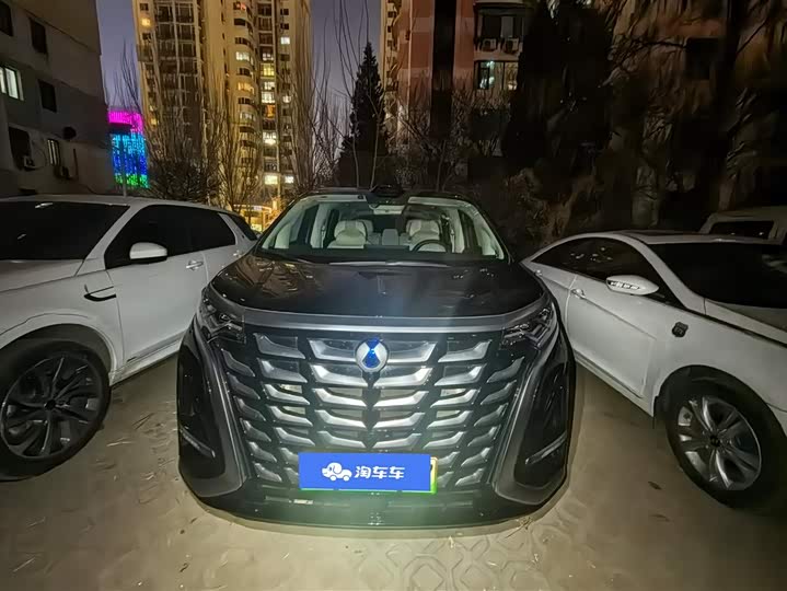 Фото 2 - Denza D9