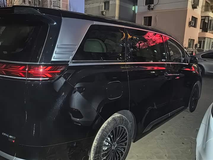 Фото 3 - Denza D9