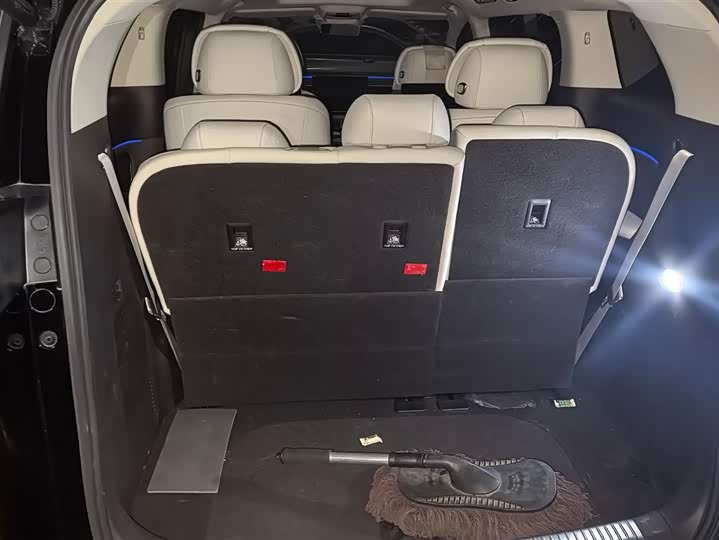 Фото 4 - Denza D9