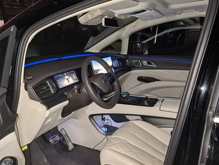 Фото 9 - Denza D9