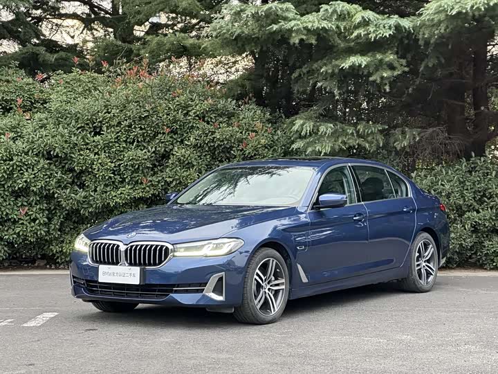 Фото 1 - BMW 5 Series Hybrid