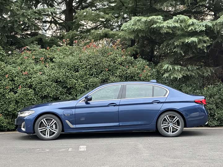 Фото 4 - BMW 5 Series Hybrid