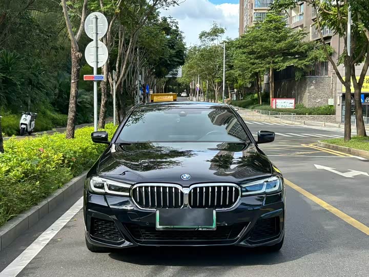 Фото 2 - BMW 5 Series Hybrid