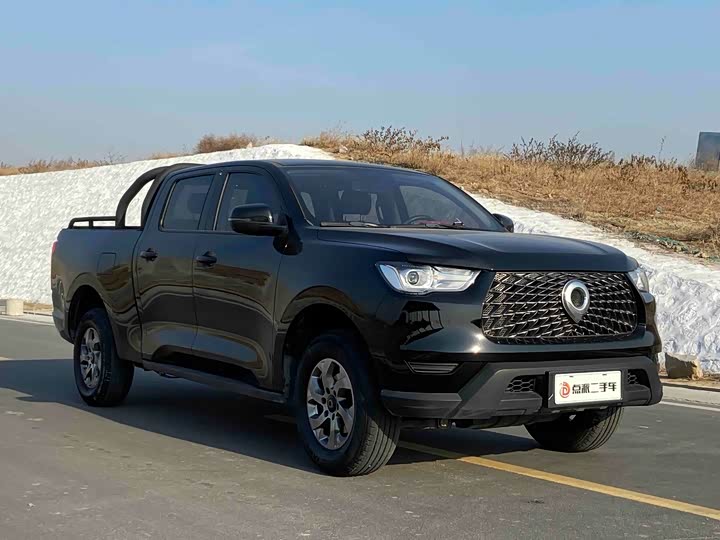 Фото 3 - Great Wall Pao