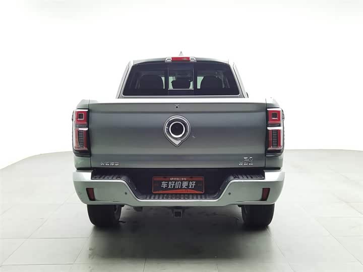 Фото 4 - Great Wall Shanhai Poer