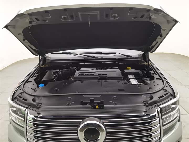 Фото 6 - Great Wall Shanhai Poer