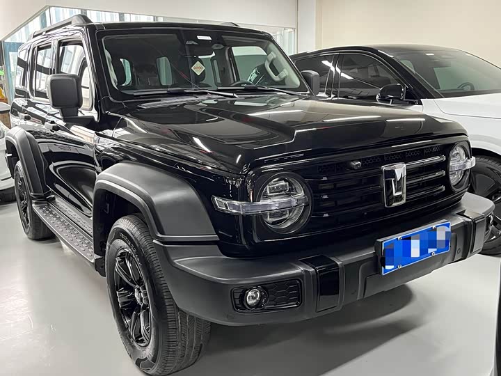 Фото 2 - Tank 300