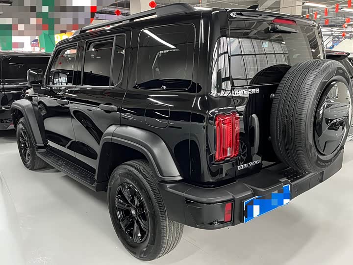 Фото 3 - Tank 300