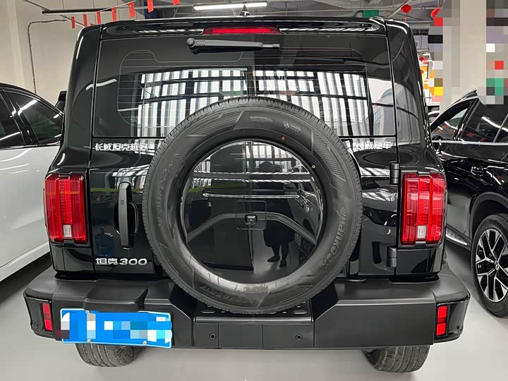 Фото 4 - Tank 300