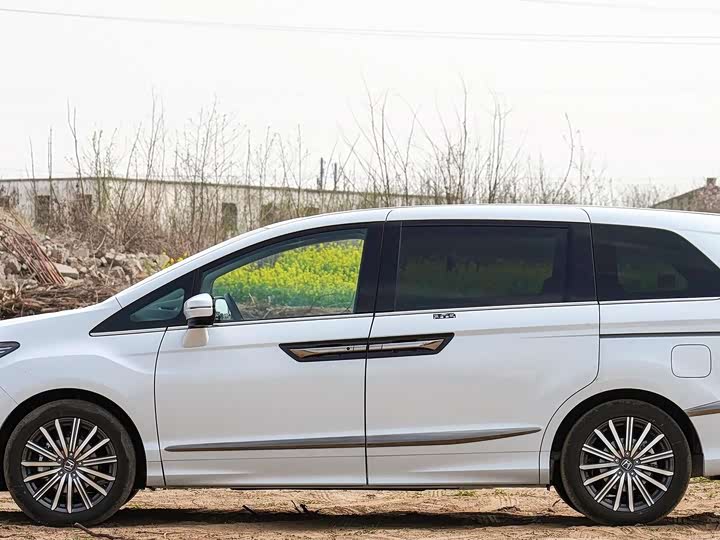 Фото 4 - Honda Elysion